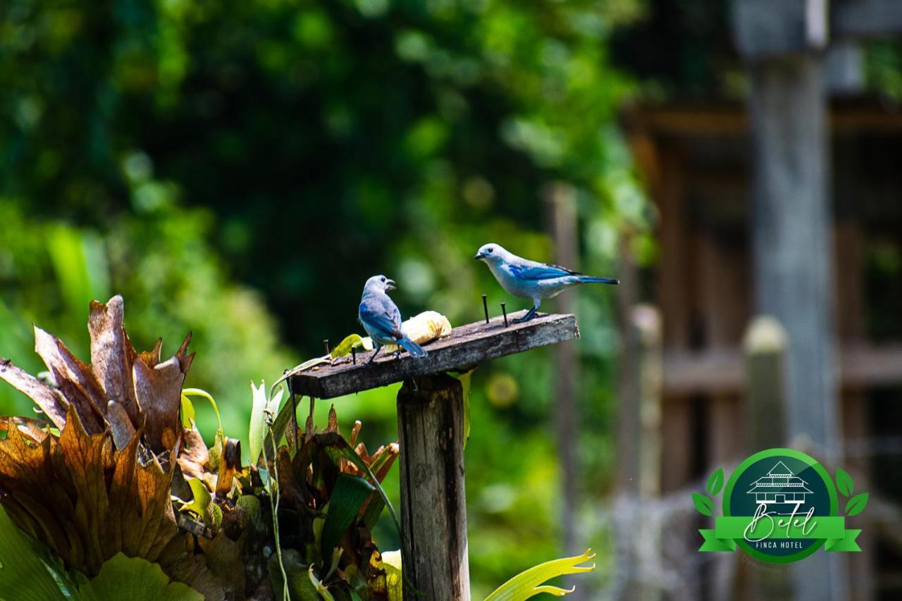 Finca Hotel Betel San Carlos Buitenkant foto